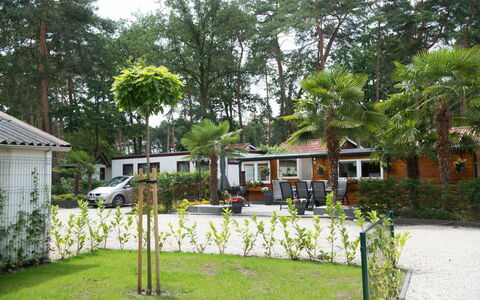 De Brenkberg: Plante, Bâtiment, Fenêtre, Arbre, Ombre, Maison, Lot Terre, Végétation, Arecales, Herbe
