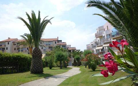 Saint Cyprien 660: Ciel, Plante, Nuage, Propriété, Bâtiment, Fenêtre, Fleur, Maison, Arbre, Terrestre Des Plantes