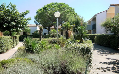 Saint Cyprien 700: Plante, Ciel, Bâtiment, Communauté Des Plantes, La Nature, Fenêtre, Arbre, Éclairage Public, Paysage Naturel, Maison