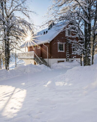Alppikylä 1B Paritalo