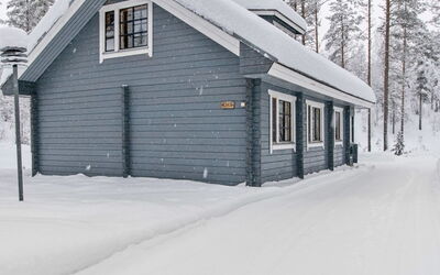 Ilves