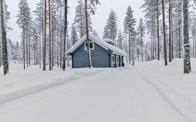 Ilves