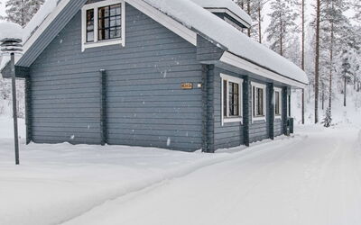 Ilves