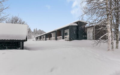 Skivillas Paljakka 8. (3Mh)
