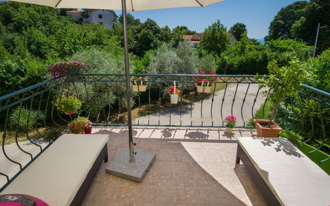 Nika: Plante, Propriété, Bâtiment, Arbre, Ombre, Mobilier De Jardin, Design Intérieur, Architecture, Design Urbain, Loisir