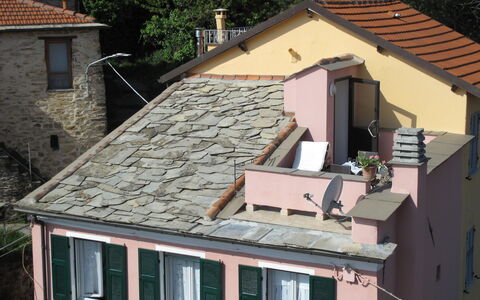 Arietta Vlo150: Fenêtre, Propriété, Bâtiment, Plante, Bois, Arbre, Architecture, Maison, Chalet