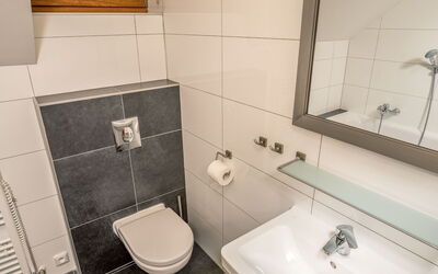 Logement:&nbsp;Residence Lipno 88.2
