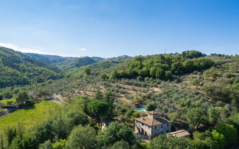 Poggio Cuccule: Ciel, Plante, Nuage, Communauté Des Plantes, Montagne, Environnement Naturel, Paysage Naturel, Lot Terre, Arbre, Terrain