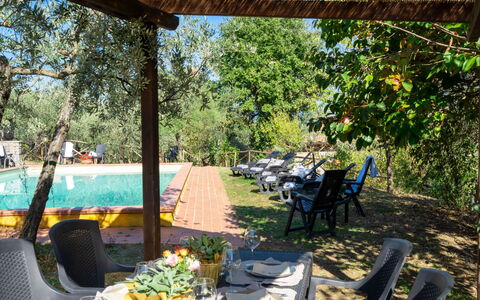 Poggio Cuccule: Plante, Table, Meubles, Propriété, Chaise, Vaisselle, La Nature, Botanique, Feuille, Ombre