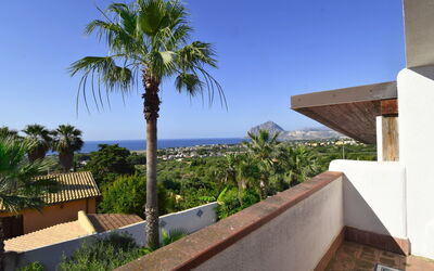 Le Palme