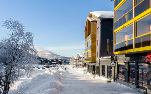Levin Kunkku Dome C5: Bois, Neige, L'Hiver, Chalet, Gelé, Domicile, Cabane En Rondins, Mélèze, Siding