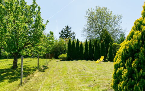Csilla: Plante, Ciel, Paysage Naturel, Arbre, Lot Terre, Herbe, À Feuilles Persistantes, Paysage, Couverture De Sol, Prairie