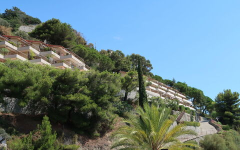 Ventimiglia 633: Ciel, Bâtiment, Plante, Communauté Des Plantes, Arbre, Végétation, Arecales, Maison, Paysage Naturel, Quartier