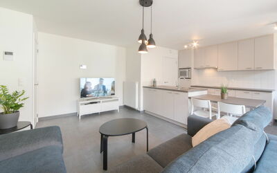 Bredene 733: Plante, Table, Meubles, Bâtiment, Canapé, Plante D'Appartement, Télévision, Confort, Maison, Bois
