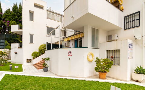 Oasis: Plante, Bâtiment, Propriété, Pot De Fleur, Fenêtre, Plante D'Appartement, Design Intérieur, Lot Terre, Jaune, Design Urbain