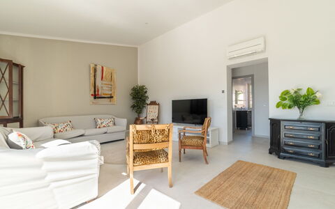 Can Rochet: Meubles, Plante, Plante D'Appartement, Confort, Bois, Cadre, Pot De Fleur, Salon, Design Intérieur, Sol