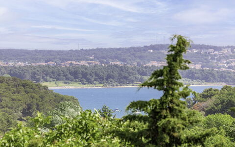 Matej: Ciel, Nuage, L'Eau, Montagne, Plante, Communauté Des Plantes, Paysage Naturel, Montagnes, Arbre, Lac