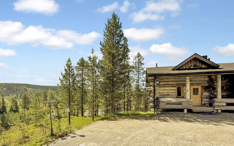 Rukan Skikolo: Bois, Sol, Sol, Meubles, Parquet, Design Intérieur, Lit Superposé, Pièce, Tache De Bois, Dur