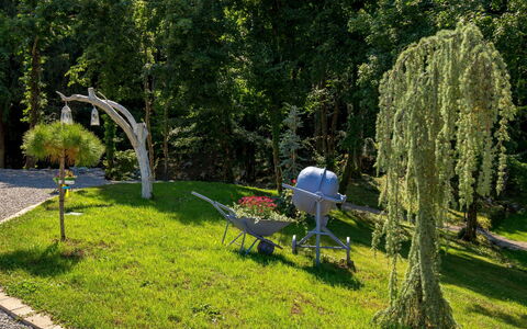 Villa Antonio: Plante, Communauté Des Plantes, Paysage Naturel, Botanique, Arbre, Lot Terre, Mobilier De Jardin, Herbe, Ombre, Biome