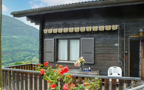 Pina: Fleur, Plante, Ciel, Propriété, Fenêtre, Nuage, Bâtiment, Architecture, Pot De Fleur, Maison