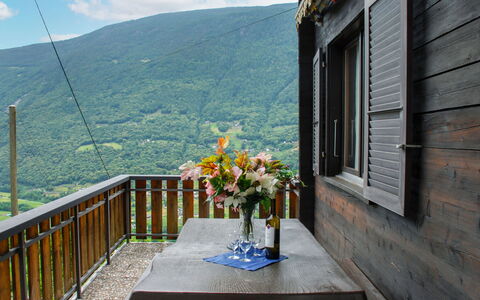 Pina: Fleur, Ciel, Table, Nuage, Propriété, Vaisselle, Plante, Pot De Fleur, Bleu Azur, Bâtiment
