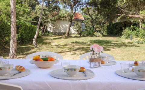 Les Trolls: Table, Vaisselle, Aliments, Plante, Meubles, Propriété, Vaisselle, Assiette, Tableau De Plein Air, Nappe De Table