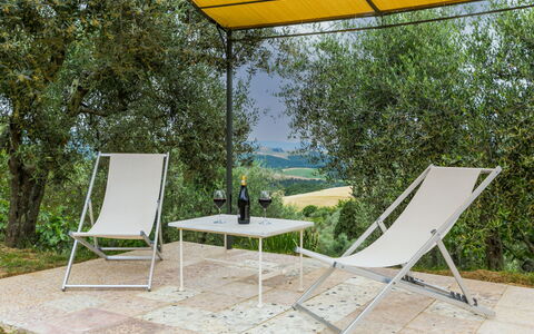 Miranda: Plante, Meubles, Ombre, Mobilier De Jardin, Arbre, Chaise, Table, Jaune, Rectangle, Confort