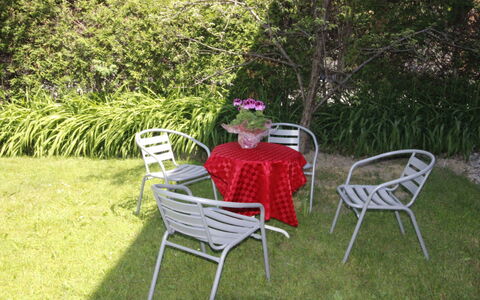 Saalfelden am Steinernen Meer 110: Plante, Meubles, Chaise, Feuille, Botanique, Mobilier De Jardin, Arbre, Loisir, Herbe, Couverture De Sol