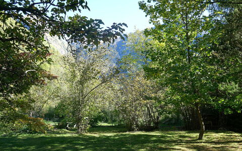 Chalet al Portic: Branche, Vert, Feuille, Arbre, Environnement Naturel, La Nature, Végétation, Arbuste, Communauté Des Plantes, Jardin