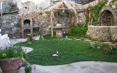 La Dea della Stella Polare: Plante, Propriété, Botanique, Bâtiment, Végétation, Herbe, Fleur, Biome, Loisir, Paysage