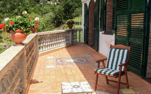 La Dea della Stella Polare: Plante, Meubles, Propriété, Bâtiment, Chaise, Pot De Fleur, Table, Bois, Porche, Mobilier De Jardin