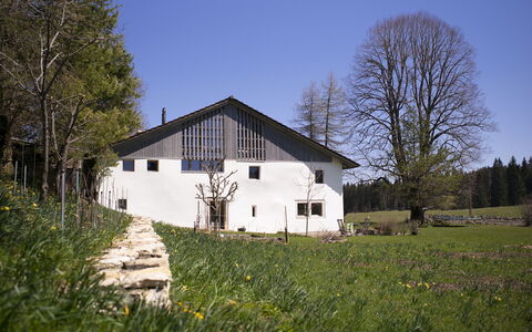Appartements - N°5 et N°5B: Plante, Ciel, Bâtiment, Fenêtre, Arbre, Paysage Naturel, Maison, Fleur, Lot Terre, Herbe