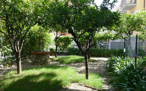 Diano Marina 648: Plante, Propriété, Fenêtre, Arbre, Ombre, Bâtiment, Lot Terre, Herbe, Suppression Des Plantes Ligneuses, Paysage