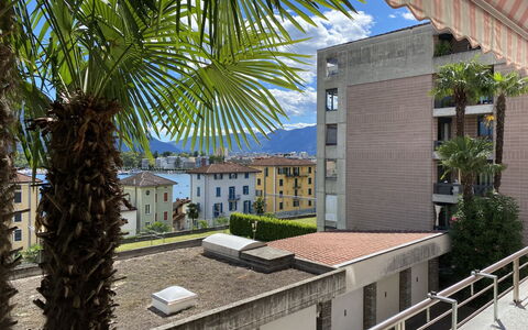 Rex App. 3: Jour, Propriété, Plante, Bâtiment, Arbre, Fenêtre, Design Urbain, Végétation, Quartier, Condominium