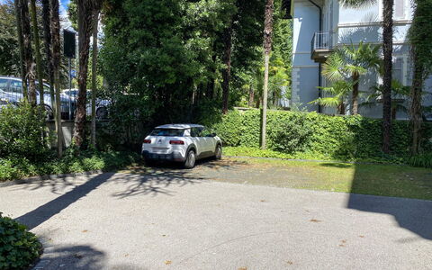 Rex App. 3: Plante, Voiture, Véhicule, Bâtiment, Véhicule À Moteur, Surface De La Route, Maison, Arbre