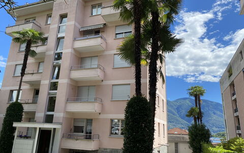 Rex App. 3: Plante, Ciel, Bâtiment, Fenêtre, Nuage, Vert, Arbre, Design Urbain, Bloc Tour, Arecales