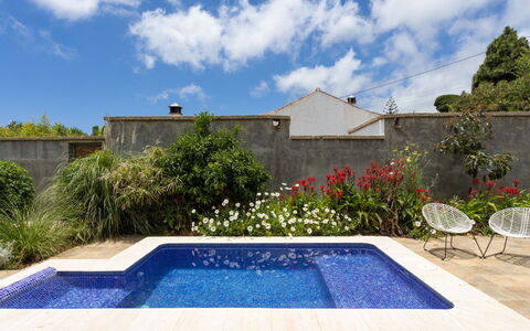 Jorge: Nuage, Plante, Ciel, Jour, L'Eau, Propriété, Bleu, Bleu Azur, Piscine, Botanique