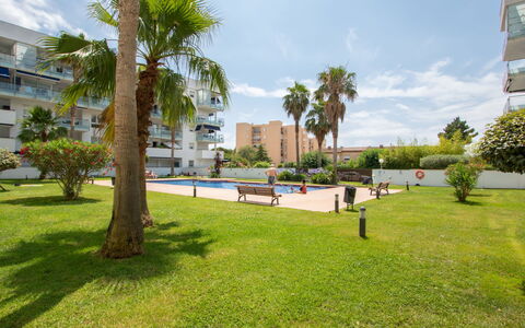 Puerto Marina: Ciel, Nuage, Plante, Bâtiment, Arbre, Arecales, Lot Terre, Herbe, Ombre, Design Urbain