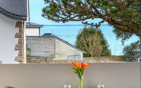 Port Haliguen Plaisance: Piscine, Composite, Appartement, Condominium, Villa, Aménagement Paysager, Recours, Hôtel, Balcon, Eco Hôtel