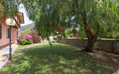 Villa Trabbia: Ciel, Nuage, Aliments, Plante, Vaisselle, Table, Fenêtre, Montagne, Fruit, Bois