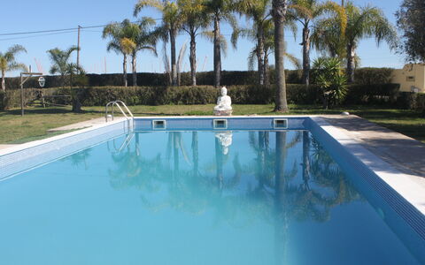 Quinta Dahlia: L'Eau, Ciel, Plante, Propriété, Piscine, Arbre, Bleu Azur, Plan D'Eau, Ombre, Arecales