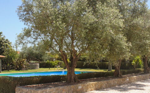 Quinta Dahlia: L'Eau, Plante, Meubles, Piscine, Propriété, Ciel, Bleu Azur, Bleu, La Nature, Arbre