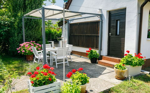 Suzy: Fleur, Plante, Bâtiment, Propriété, Pot De Fleur, Fenêtre, Plante D'Appartement, Maison, Arbre, Herbe