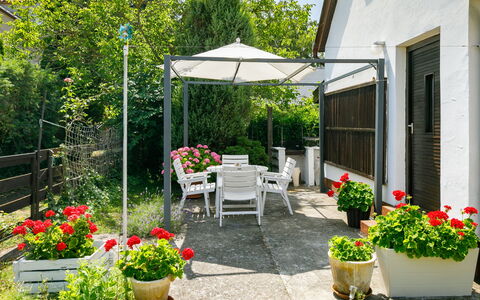 Suzy: Fleur, Plante, Propriété, Pot De Fleur, Bâtiment, Plante D'Appartement, Ombre, Chaise, Arbre, Mobilier De Jardin