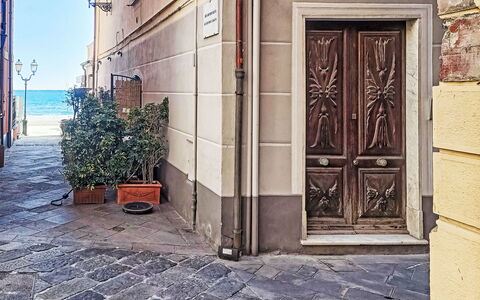 Beach House: Porte, Sol, Rue, Pot De Fleur, Accueil Porte, Béton, Pavé, Ruelle, Dalle, Plante D'Appartement