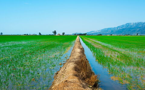 D1: Plante, Ciel, Paysage Naturel, Lot Terre, Herbe, Agriculture, Plaine, Prairie, Paysage