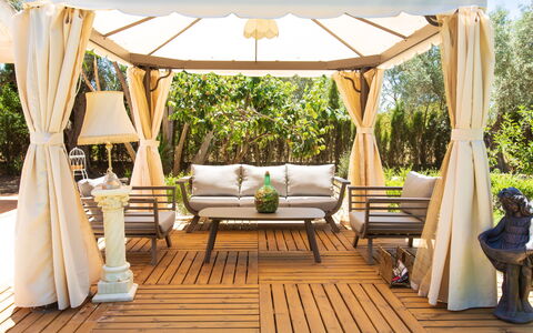 Rincón del sur: Plante, Meubles, Propriété, Ombre, Mobilier De Jardin, Ciel, Chaise, Design Intérieur, Arbre, Bois