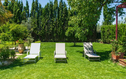Rincón del sur: Plante, Ciel, Communauté Des Plantes, Paysage Naturel, Arbre, Mobilier De Jardin, Lot Terre, Herbe, Ombre, Suppression Des Plantes Ligneuses