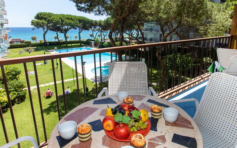 Palmeras: Plante, Aliments, Table, L'Eau, Meubles, Ciel, Bâtiment, Chaise, Vaisselle, Pot De Fleur