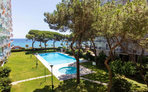 Palmeras: L'Eau, Plante, Bâtiment, Ciel, Piscine, Ombre, Fenêtre, Arbre, Condominium, Herbe